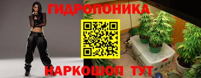 Альфа ПВП Чапаевск