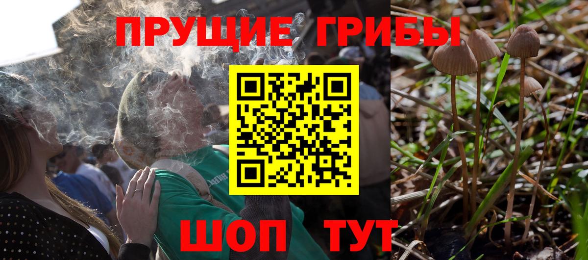 Михайловск  Галлюциногенные грибы ЛСД  даркнет сайт  Вход с VPN 