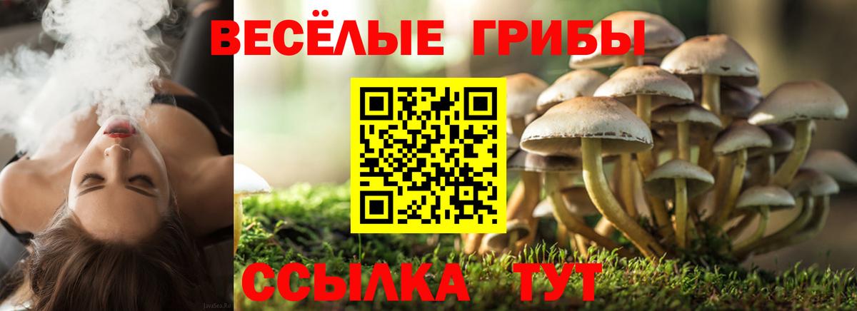 Псилоцибиновые грибы ЛСД Михайловск